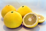 鹿児島県産　サワーポメロ（柑橘系）　8kg　（自宅用）
